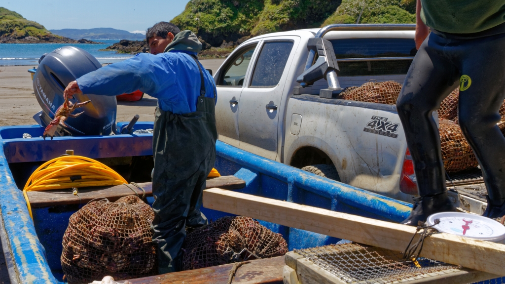 11 - Île de Chiloé (15).jpg